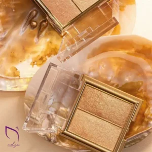 پالت هایلایتر 2تایی گلدن رز نلسا شاپ